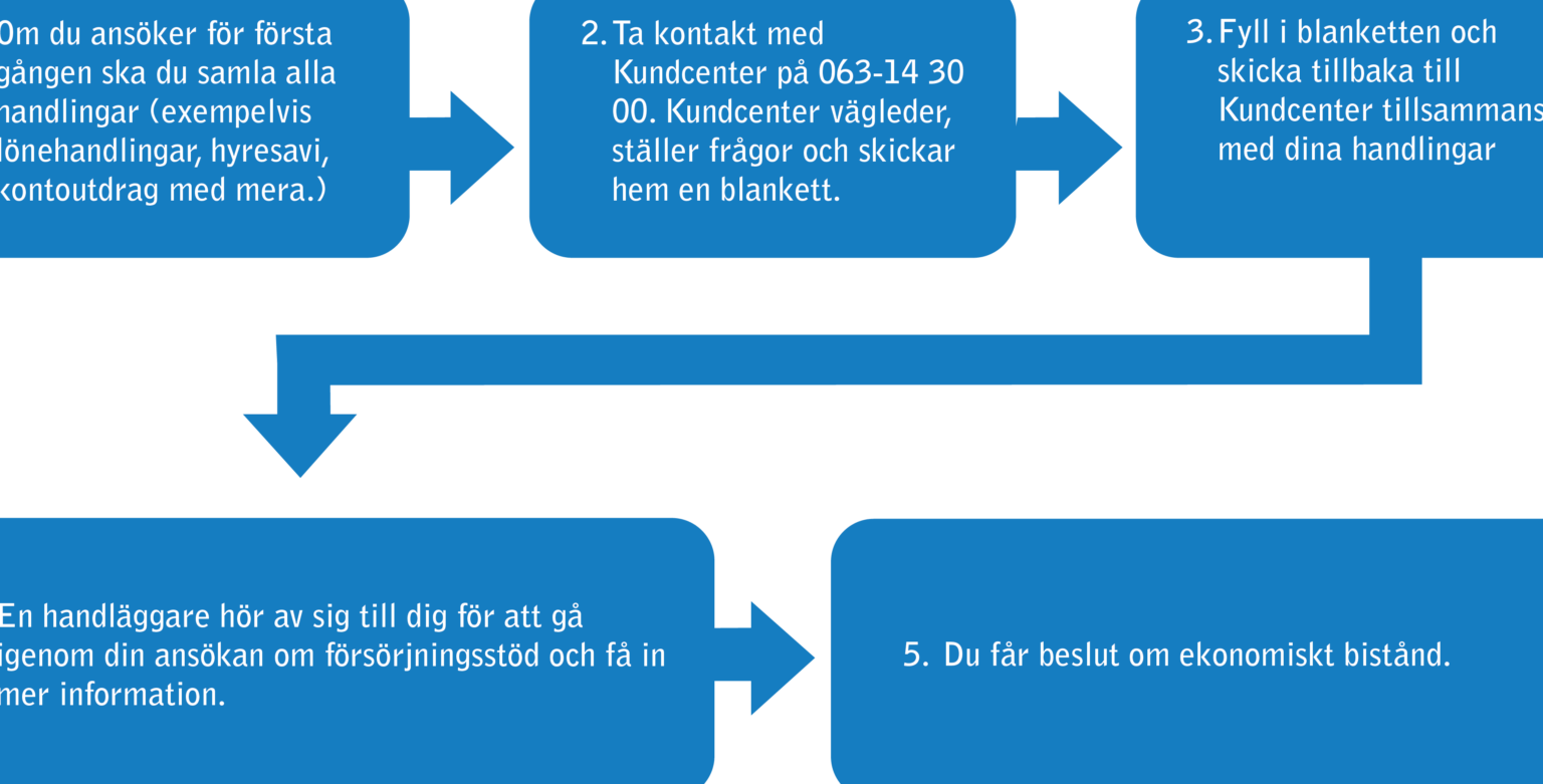 Ekonomiskt bistånd exempel och hur det fungerar