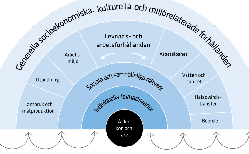 Exempel på offentlig förvaltning och dess påverkan på samhället
